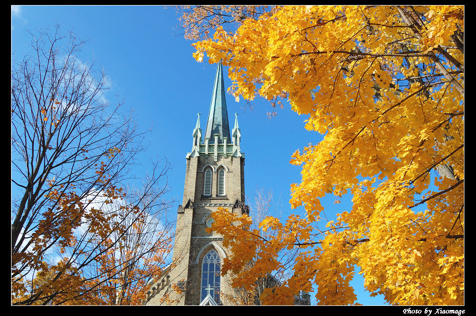 AI与机器人创新